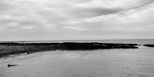 sejour-coaching-baie-de-somme-normandie-seine-maritime-01 sejour-coaching-baie-de-somme-normandie-seine-maritime-01