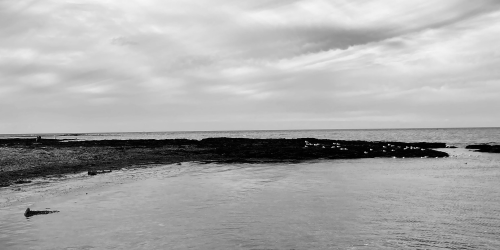 sejour-coaching-baie-de-somme-normandie-seine-maritime-01